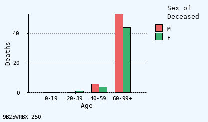 bar chart