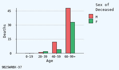 bar chart