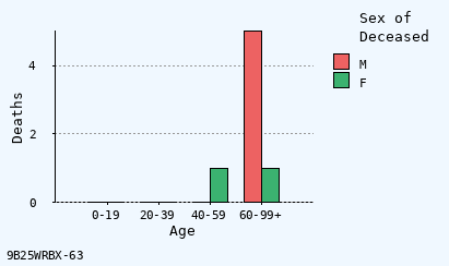 bar chart