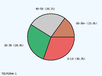 pie chart