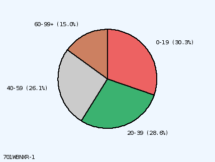 pie chart