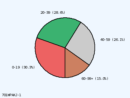 pie chart